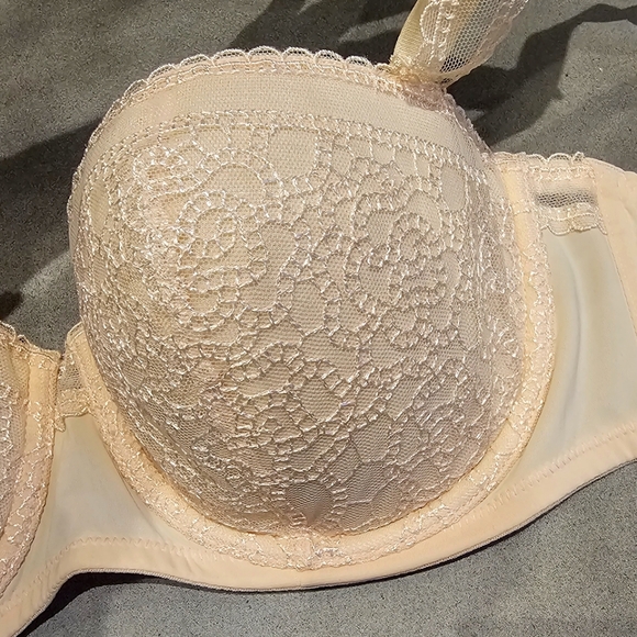 Studio LA PERLA Lace Underwire Contour Bra Size 34E(DD)- Brand New Without Tags - Picture 4 of 12